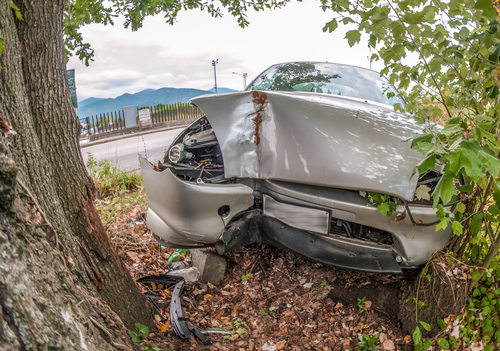 vehicle-struck-by-a-tree